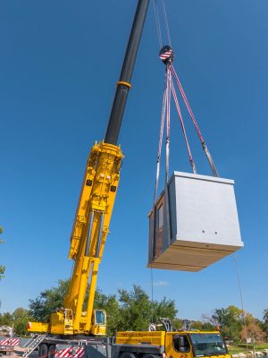 AT-Crane_Cemetary_1080x1920x144